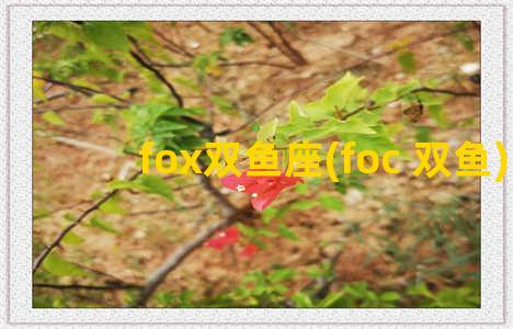 fox双鱼座(foc 双鱼)